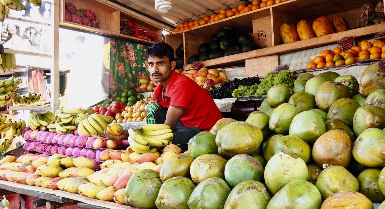 A man sitting at a market stall, surrounded by a large display of various fresh fruits like coconuts, mangoes, and bananas.