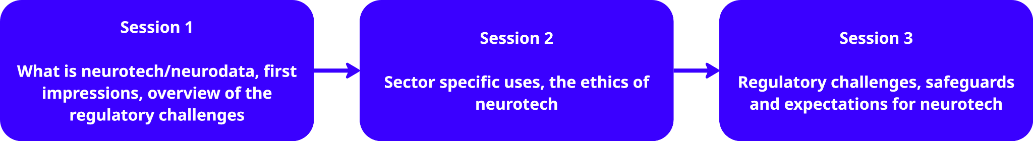 Process diagram outlining three sessions on neurotechnology: defining neurotech/neurodata, sector uses/ethics, and regulatory challenges/safeguards.