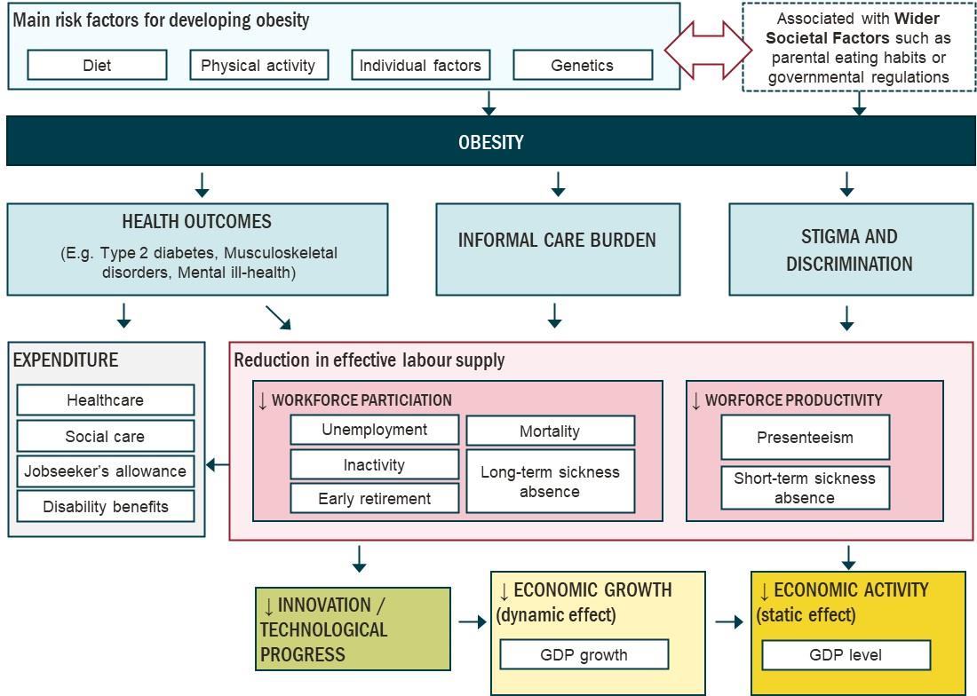 Flow diagram detailing risk factors for obesity, its health and societal impacts, and resulting reduction in effective labor supply, economic growth, and activity.