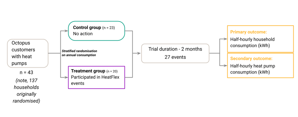 Flow diagram illustrating the trial design, including participant groups, stratification, trial duration, and defined primary and secondary outcomes.