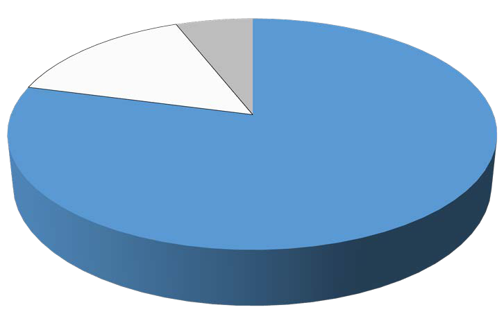 3D pie chart showing a distribution with one very large segment, one medium segment, and one small segment.