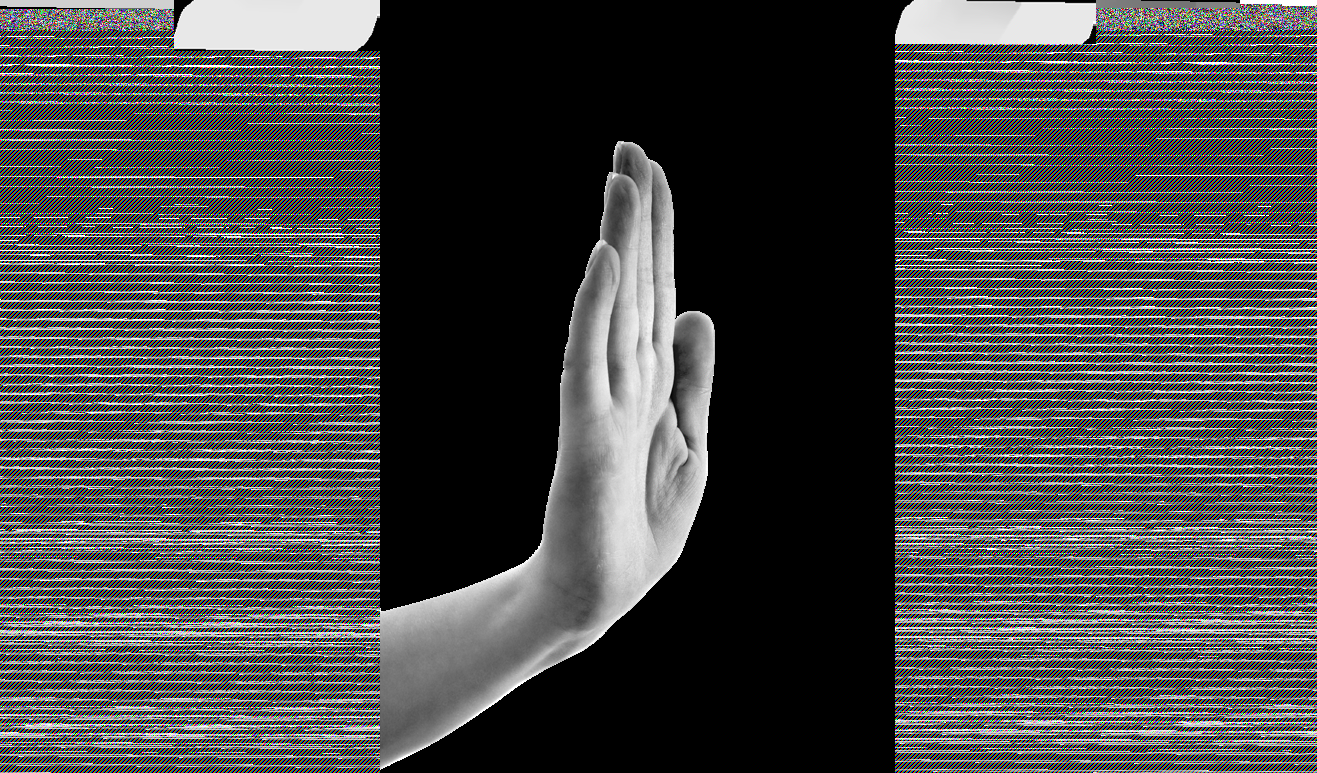 A human hand held vertically with the palm facing forward, commonly signaling "stop" or "halt."