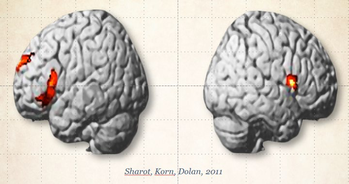 Two 3D renderings of the brain, viewed from different angles, showing specific areas of activity highlighted in red. Source: Sharot, Korn Dolan, 2011.