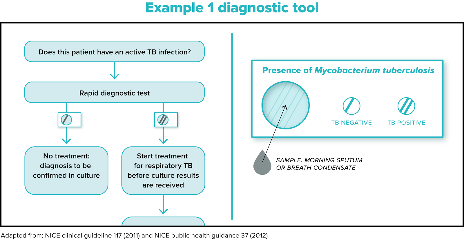 Flowchart showing diagnostic process for active TB infection, including rapid test, results interpretation, and treatment decisions based on culture confirmation.