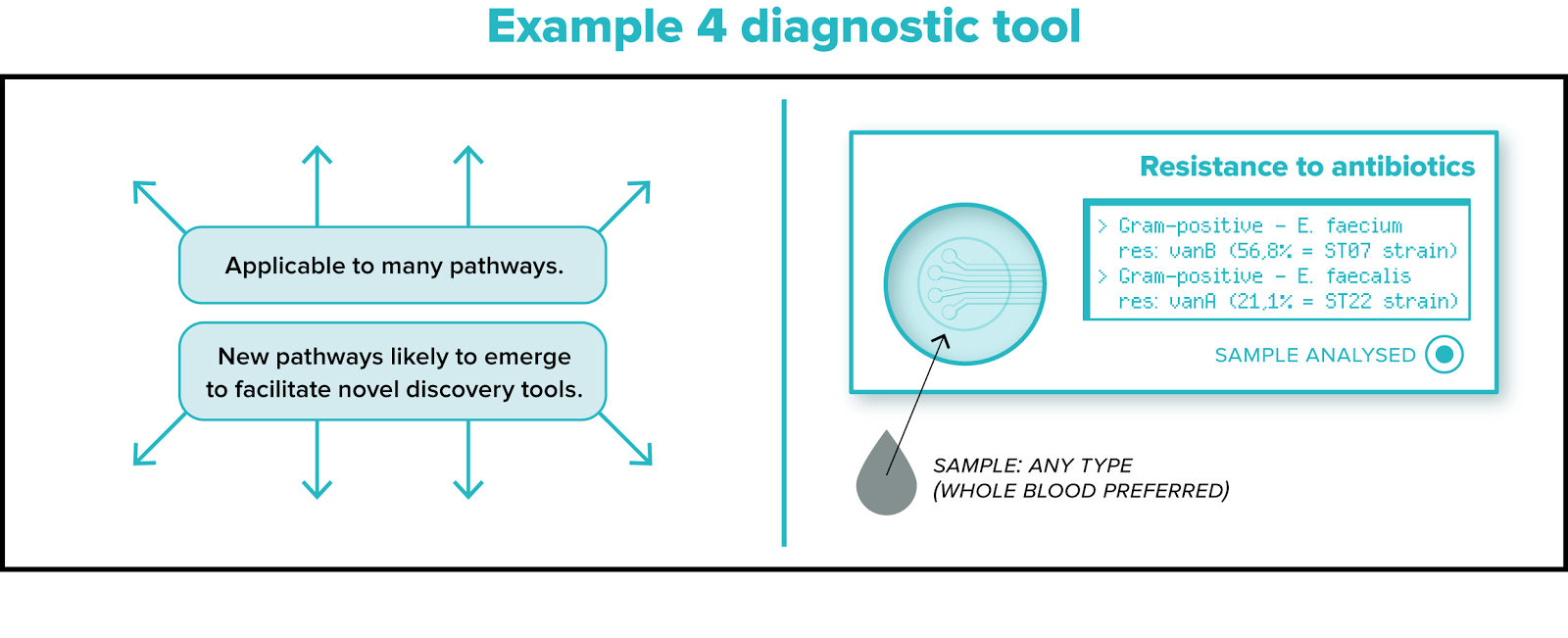 Diagram illustrating broad applicability of diagnostic tools and specific resistance profiles for Gram-positive bacteria E. faecium and E. faecalis.