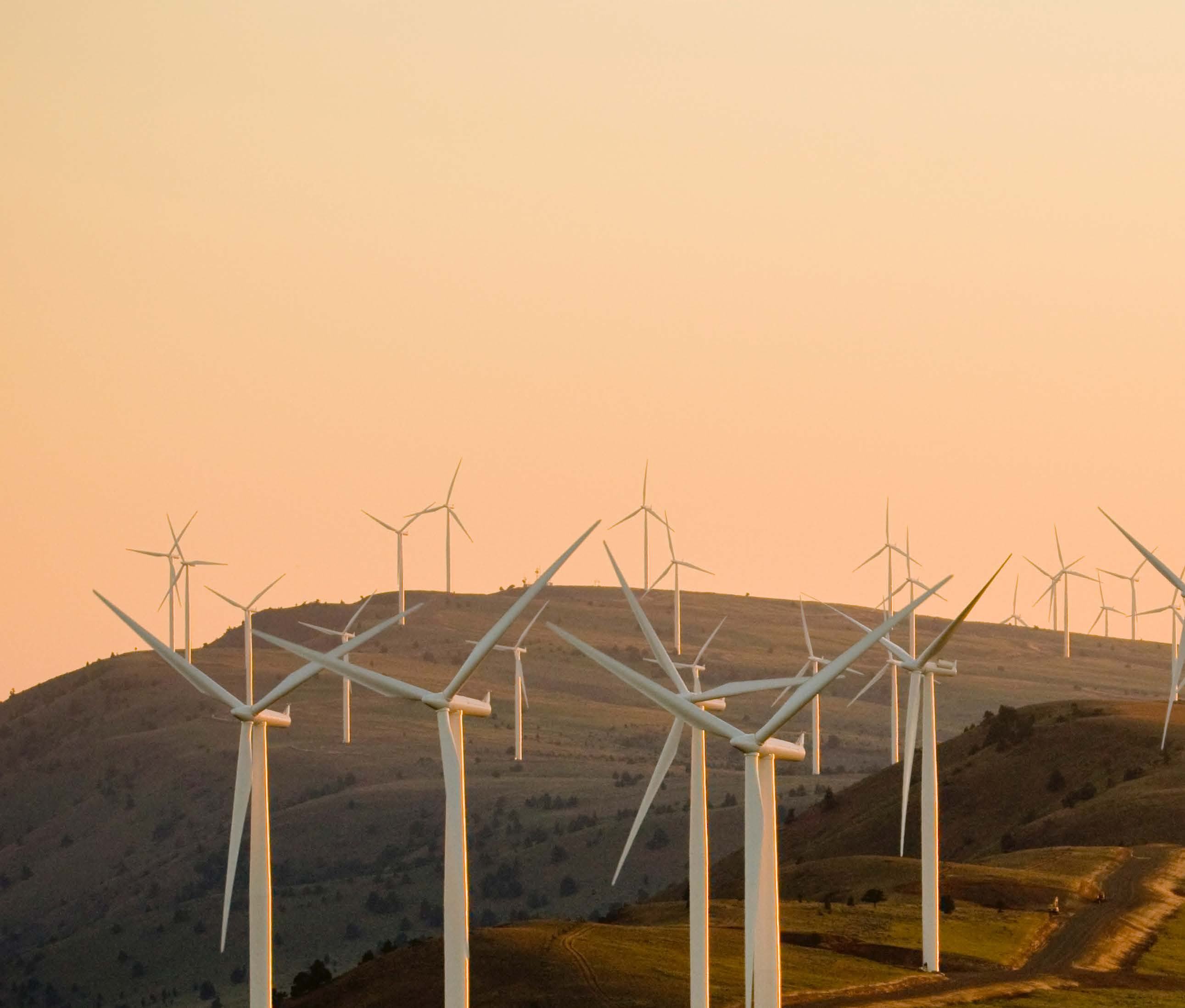 Wind farm on a hilly landscape with numerous white wind turbines under a warm, clear sky, symbolizing renewable energy.