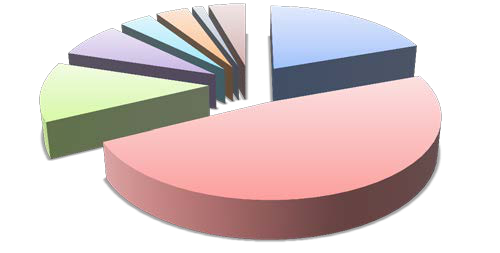 A 3D pie chart with many slices, one very large slice highlighted, representing an unlabeled breakdown of categories.