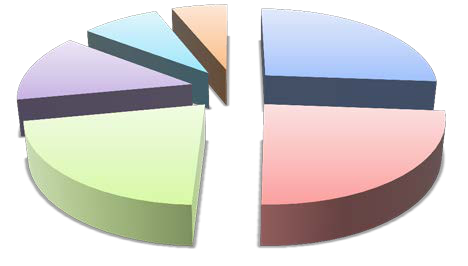 A 3D pie chart showing multiple unnamed slices, representing a breakdown of categories, with one half pulled apart.