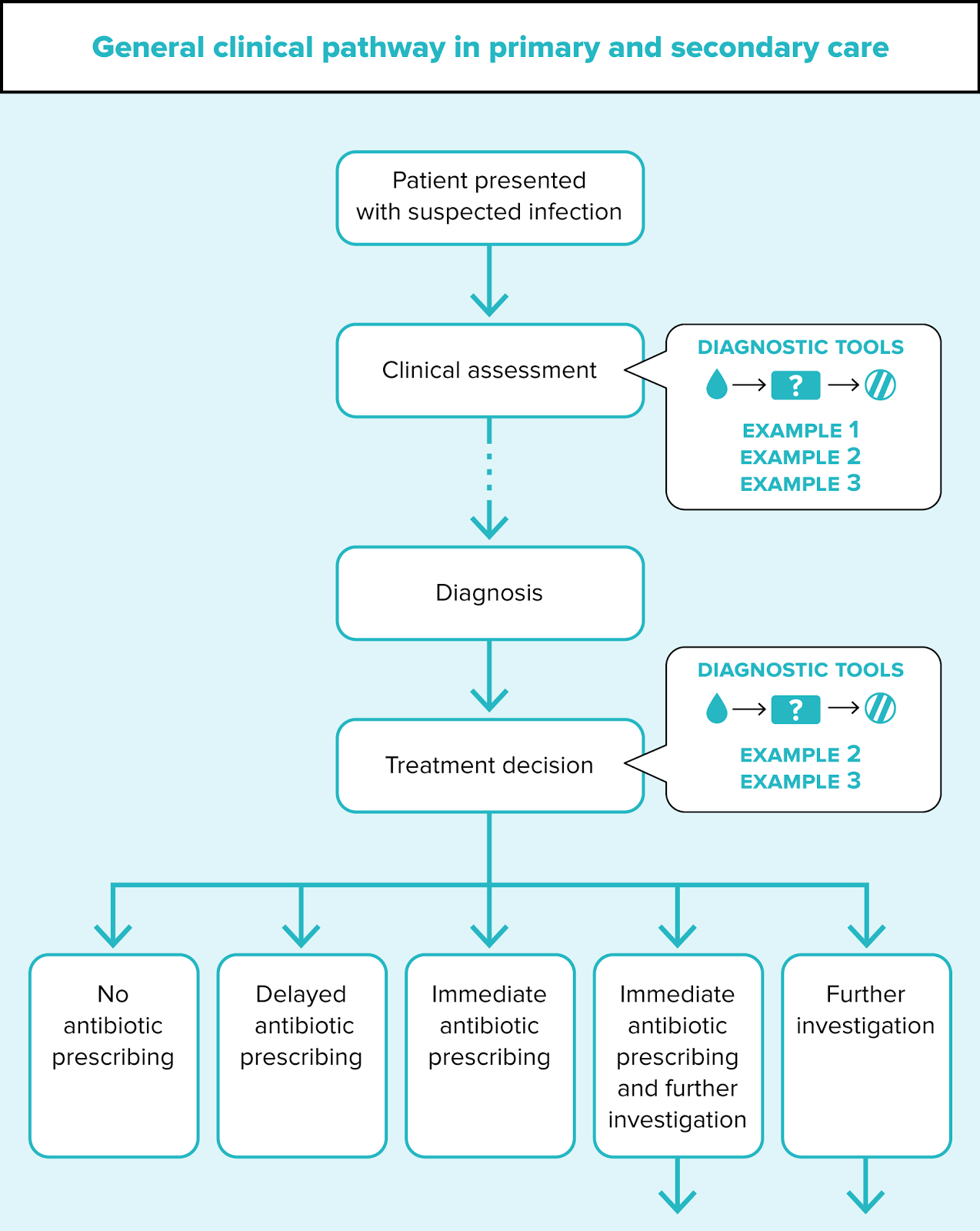 General clinical pathway flowchart for suspected infection in primary and secondary care, outlining assessment, diagnosis, treatment decisions, and outcomes with reference to diagnostic tools.
