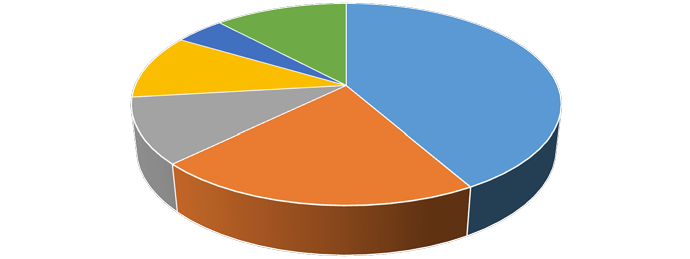 3D pie chart displaying a distribution across multiple categories with various segment sizes.