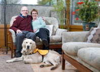 An elderly couple smiles while sitting on a sofa with their golden retriever guide dog, wearing a yellow harness, lying in front of them.