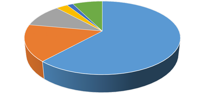 3D pie chart showing a distribution with one very large segment and several smaller segments.