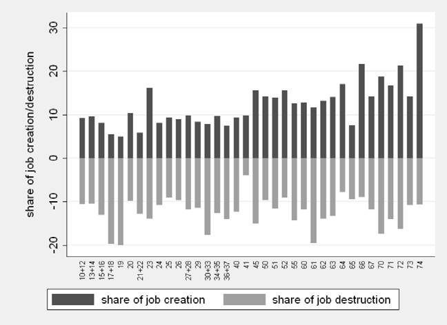 Bar chart showing share of job creation (dark) and job destruction (light) across different age classes of firms, from 10+12 to 74.