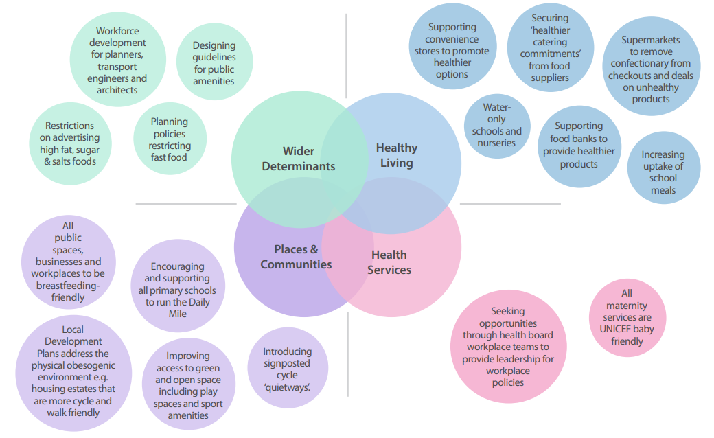 Conceptual diagram showing public health initiatives across four interconnected themes: Wider Determinants, Healthy Living, Places & Communities, and Health Services, with specific actions listed for each.