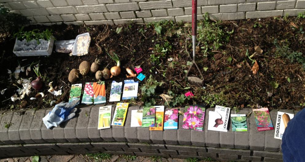 Overhead view of a garden bed with various seed packets, young plants, onions, and potatoes laid out.
