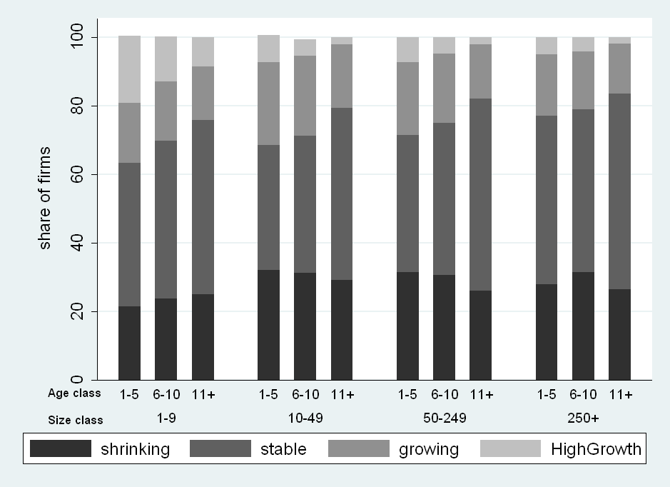 Stacked bar chart showing share of firms by age and size class, categorized into shrinking, stable, growing, and HighGrowth.