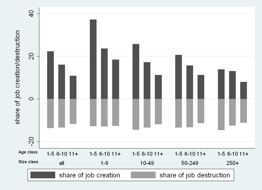 Bar chart showing share of job creation (dark) and job destruction (light) across age and size classes of firms.