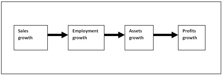 Flow diagram showing the sequence from Sales growth to Employment growth, then Assets growth, and finally Profits growth.