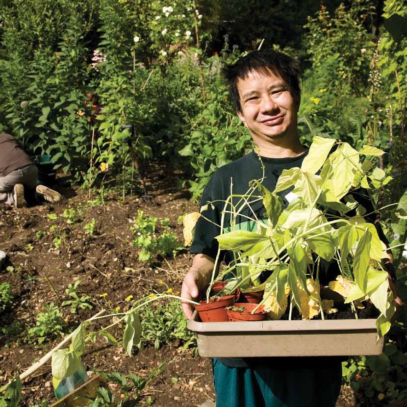 Smiling man in a garden holding a tray of green plants.