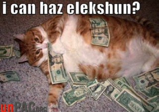 A meme showing a large cat lying on a pile of money with the text "i can haz elekshun?", satirizing political funding.