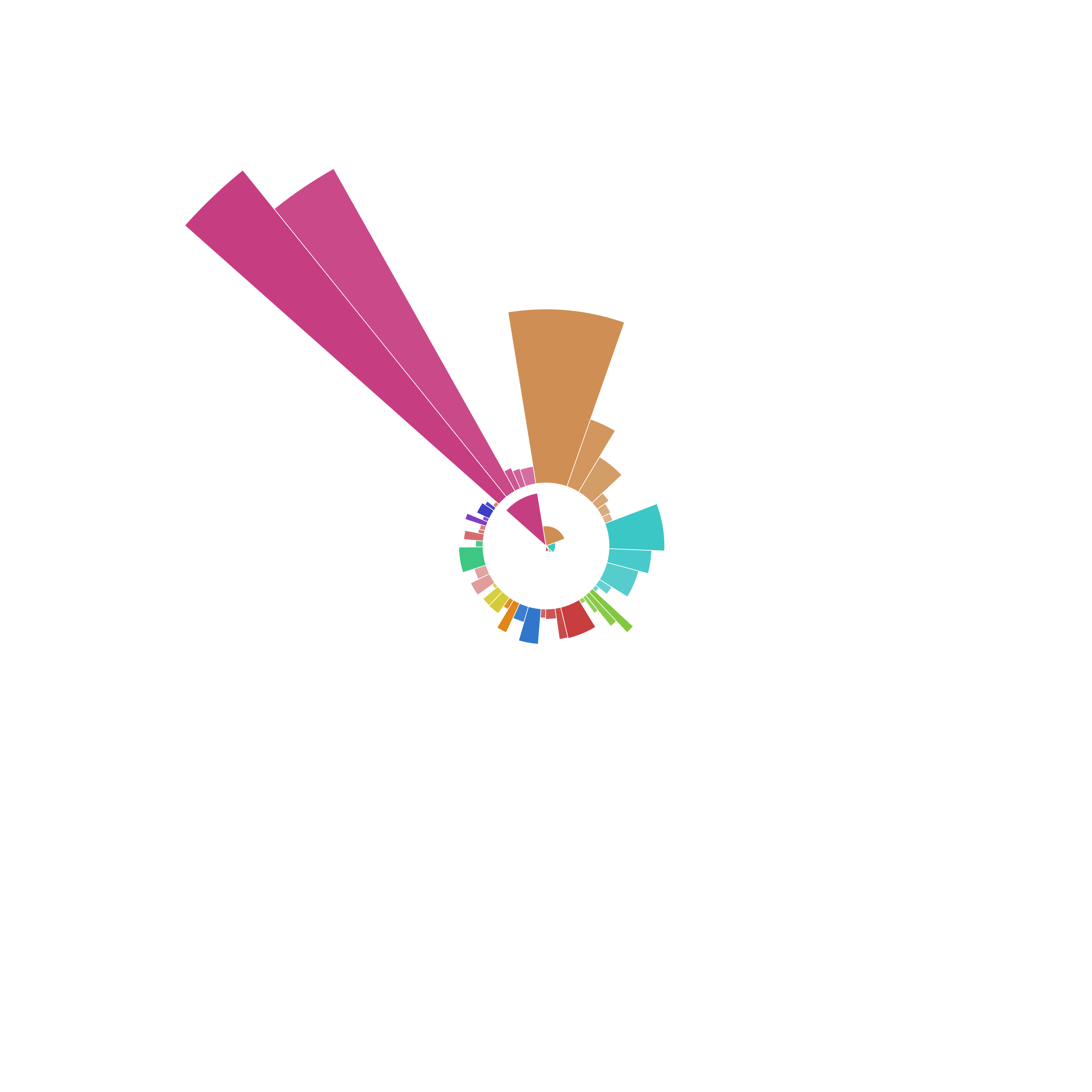 Radial chart displaying proportional data with a prominent pink segment, alongside smaller orange, teal, and other colored segments.