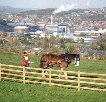 A person in a red coat leading a draft horse in a field, with a town and industrial buildings in the background.