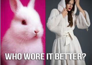 A white rabbit next to a woman in a white fur coat, with the text "WHO WORE IT BETTER?", implying a critique of fur.