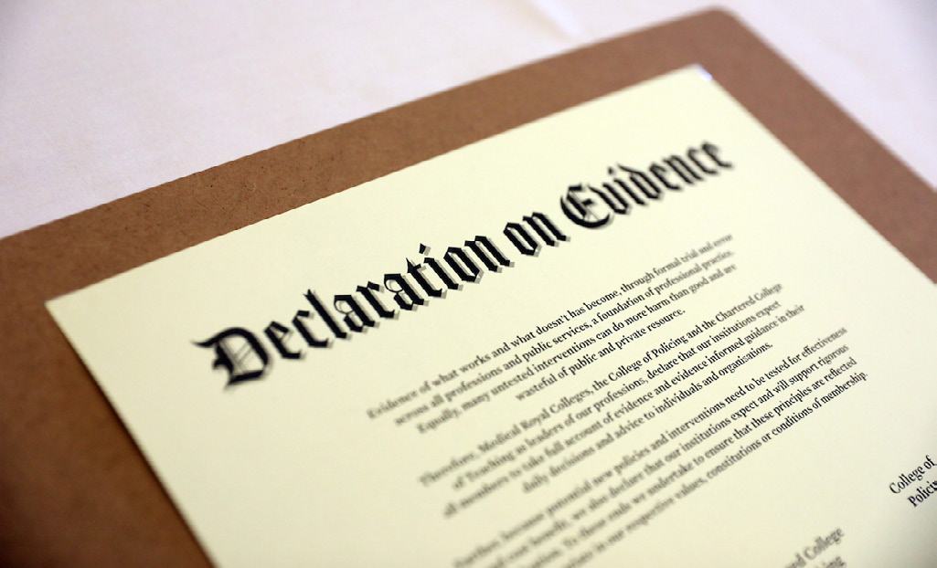 Close-up of a document titled "Declaration on Evidence," with partial text visible below discussing professions and institutions.