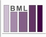 Bar chart or visual representation with three labeled bars B, M, and L, alongside two additional bars, all in varying shades of purple.