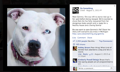 Screenshot of a Facebook post about Gemma, a rescued dog with heterochromia, detailing her recovery and adoption plea.