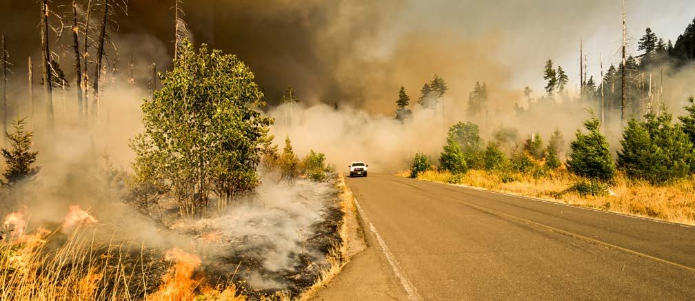 Wildfire burning alongside a road, generating thick smoke and threatening a forest, with a vehicle visible in the distance.