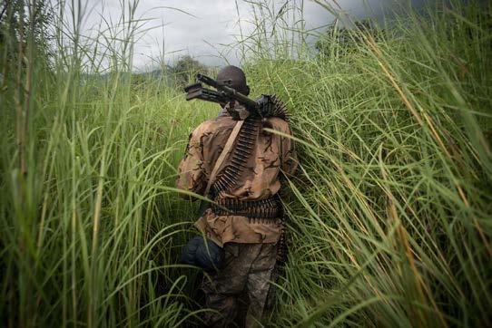 A person with a rifle and ammunition belt walks away through tall green grass under an overcast sky.