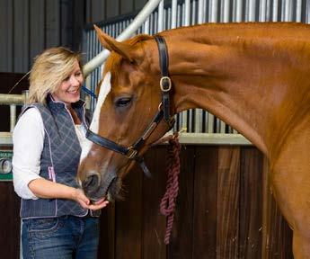 A woman in a stable smiles as she feeds a brown horse from her hand.