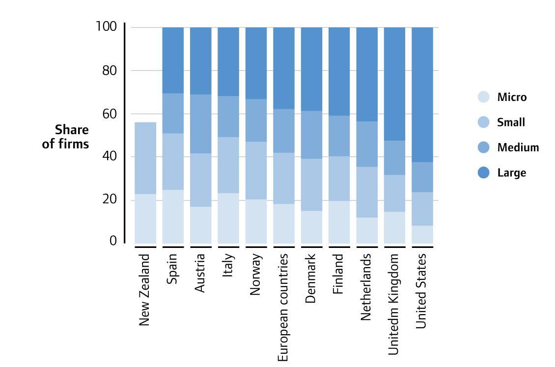 Stacked bar chart showing the share of firms categorized by size (Micro, Small, Medium, Large) across different countries.
