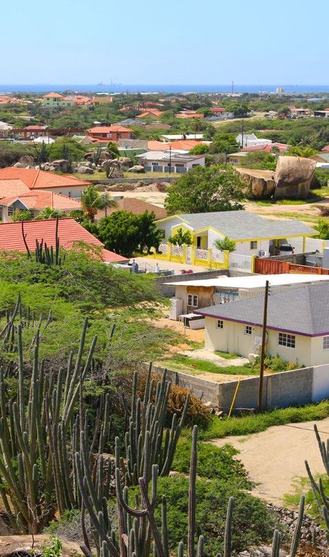 Aerial view of a sunlit town with many houses, green trees, and tall cacti in a dry, hilly landscape under a clear sky.