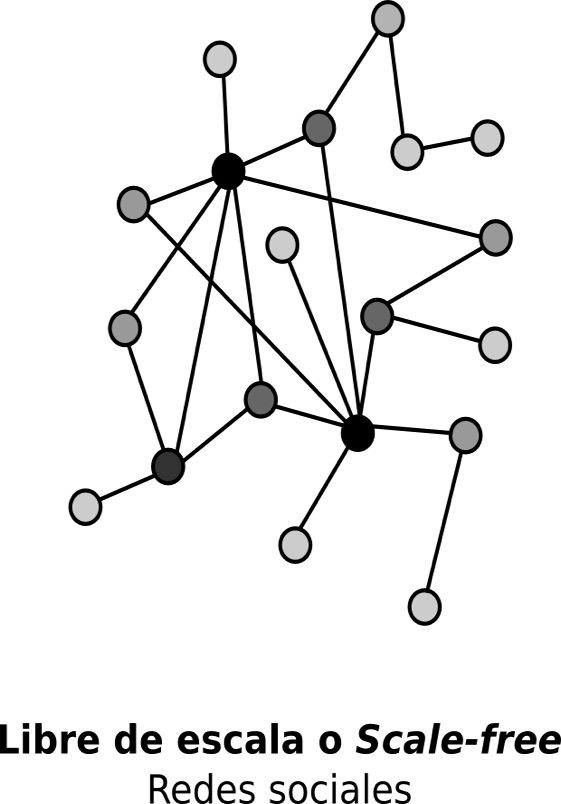 A diagram of a scale-free network, showing nodes of varying connectivity, with a few highly connected central nodes and many less connected peripheral nodes, typical of social networks.