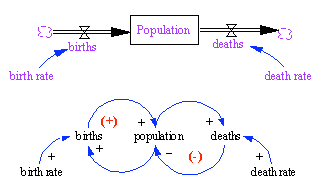 Two diagrams illustrating population dynamics: a stock and flow model and a causal loop diagram showing positive and negative feedback.