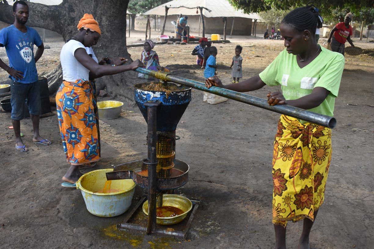 Two women operating a manual press to extract liquid into buckets in a rural outdoor setting.