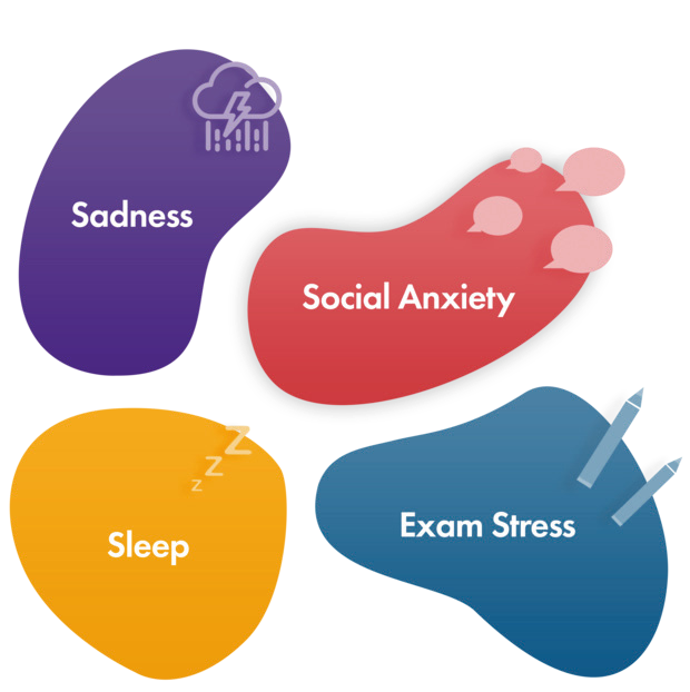 Diagram with four organic shapes representing different mental health aspects: Sadness, Social Anxiety, Sleep, and Exam Stress, each with a relevant icon.