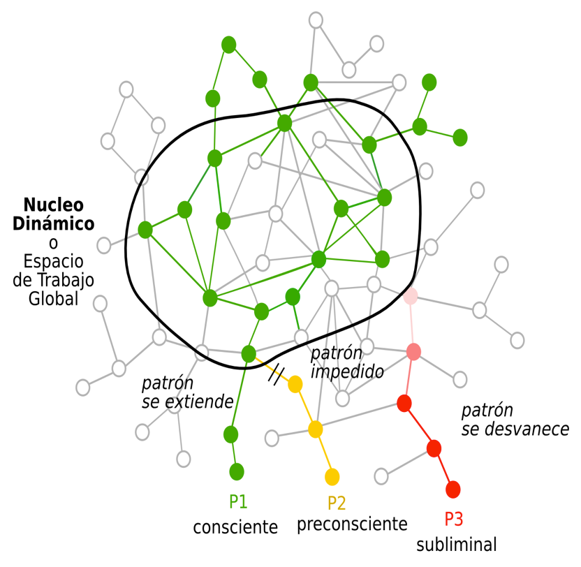 Conceptual diagram illustrating a dynamic core network with patterns extending, inhibited, or fading, labeled as conscious, preconscious, and subliminal.