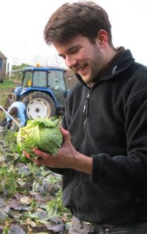 A young man smiling and holding a head of cabbage he has harvested in a field, with a tractor visible behind him.
