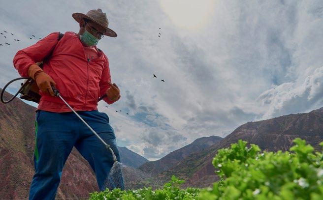A farmer in a hat and mask sprays crops in a field with mountains under a cloudy sky.