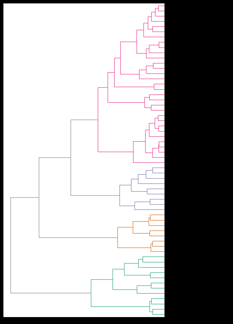 Dendrogram showing hierarchical clustering with different colored branches representing distinct clusters or relationships.