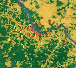 Satellite or aerial map showing a river winding through a landscape with varying land cover (green and yellow) and numerous red markers indicating points of interest.