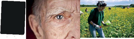 Collage featuring an elderly person's eye, a woman harvesting lettuce in a field, and a black rectangle, suggesting themes of age and labor.
