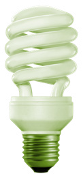 A compact fluorescent light (CFL) bulb, showing its spiral design.