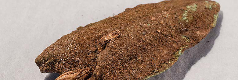 Close-up of an ancient, weathered artifact, possibly a spearhead, with a textured brown surface and green patina.