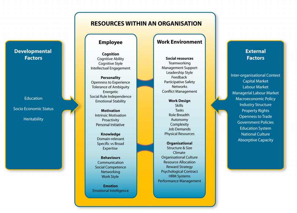 Diagram illustrating resources within an organization, influenced by developmental, employee, work environment, and external factors.