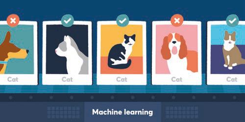 Infographic showing machine learning classifying animals as "Cat," with correct and incorrect identifications.