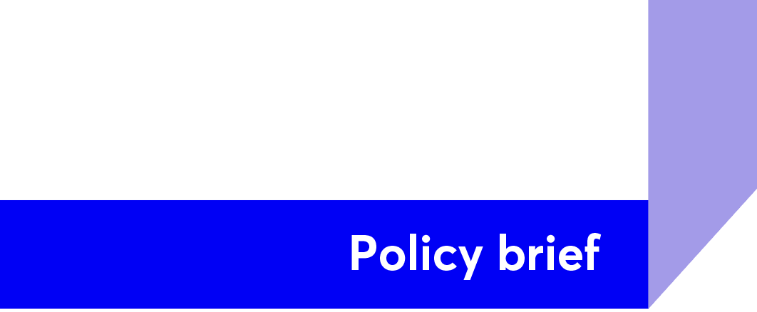 Blue banner with white text "Policy brief" and decorative purple geometric shapes, indicating a document title or section header.